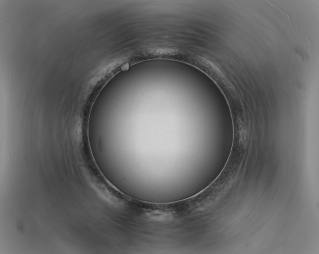 X0000115840447200911131534