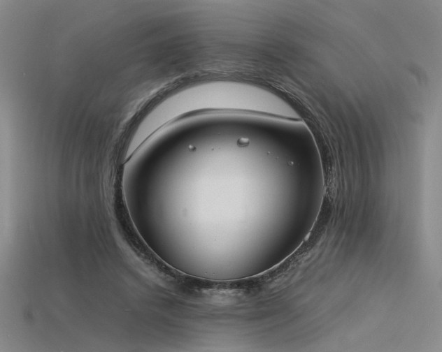 X0000115840448200911131534