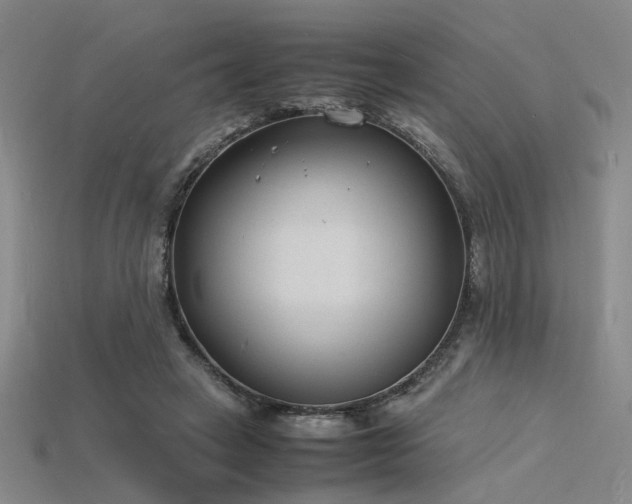 X0000115840449200911131534