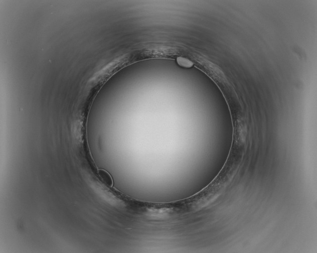 X0000115840450200911131534