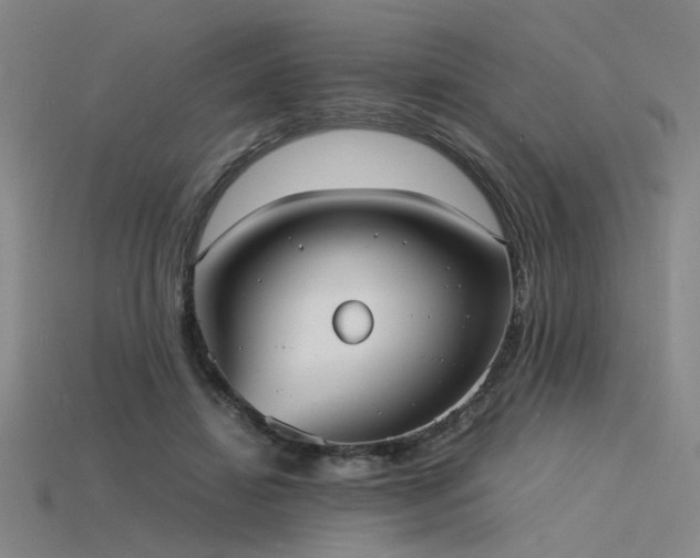 X0000115840452200911131534