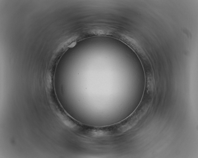 X0000115840453200911131534