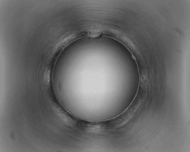 X0000115840454200911131534