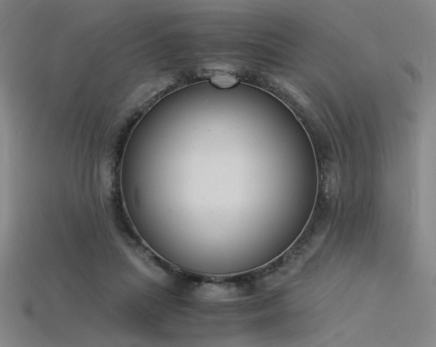 X0000115840455200911131534