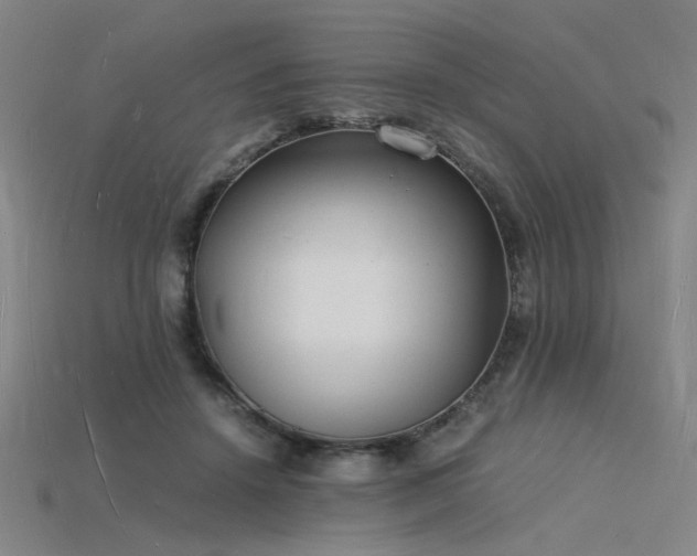 X0000115840456200911131534