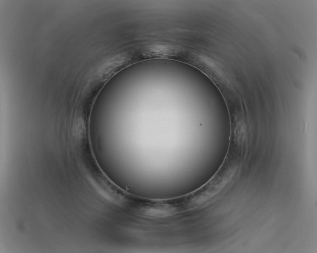 X0000115840459200911131534
