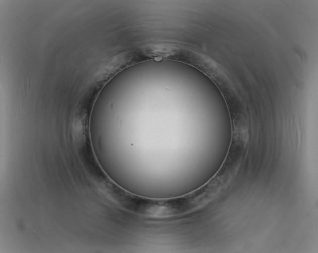 X0000115840460200911131534