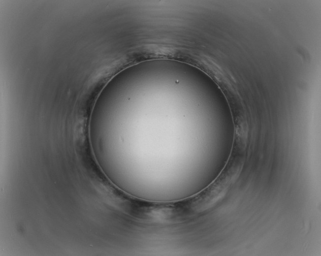 X0000115840462200911131534