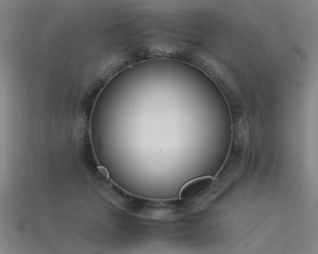 X0000115840463200911131534