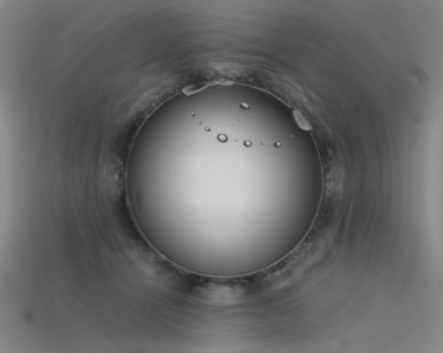 X0000115840464200911131534