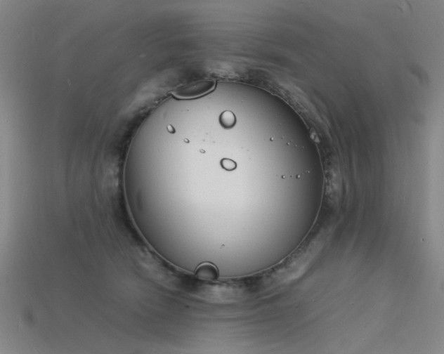 X0000115840466200911131534