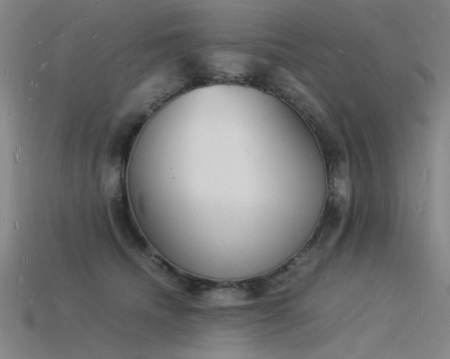 X0000115840468200911131534