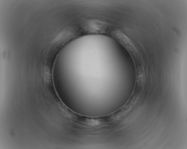 X0000115840469200911131534