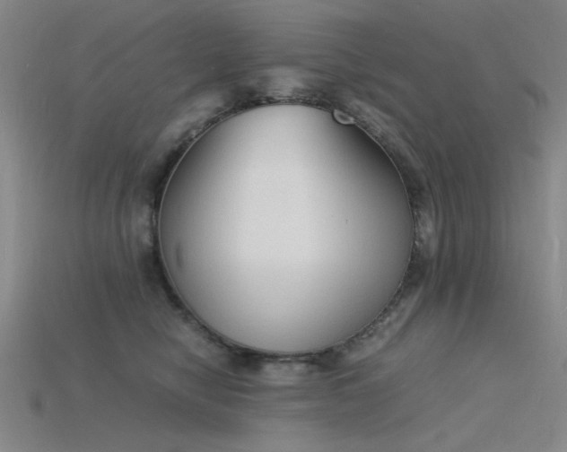 X0000115840470200911131534