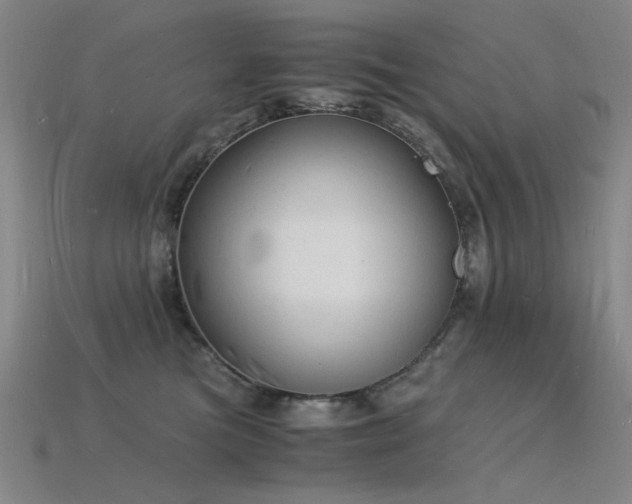 X0000115840473200911131534