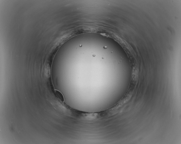 X0000115840474200911131534