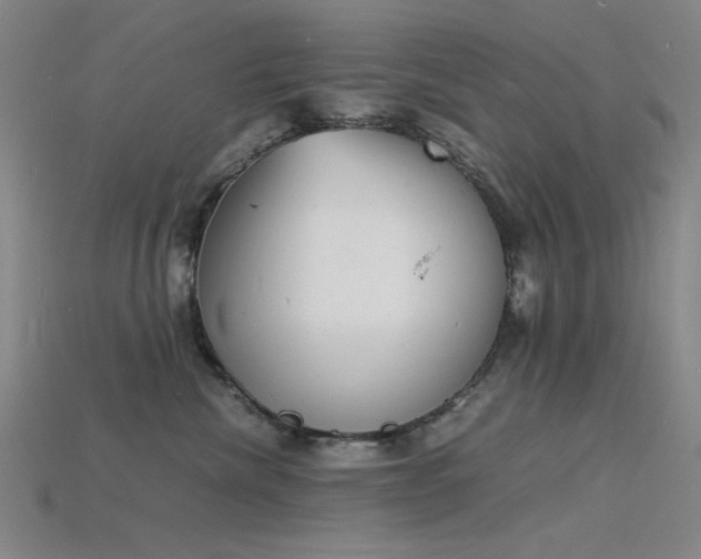 X0000115840476200911131534