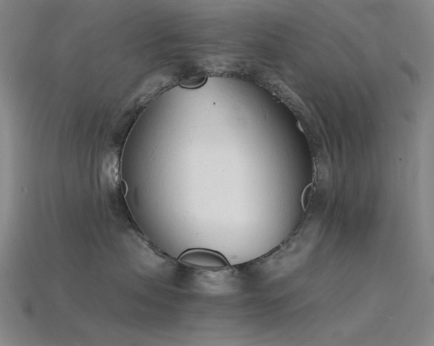 X0000115840479200911131534