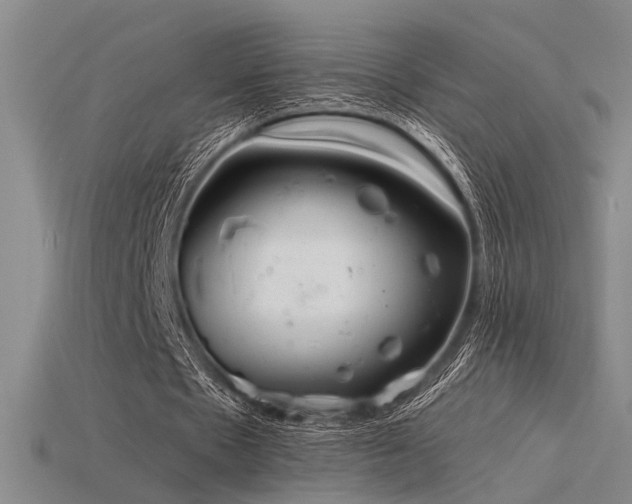 X0000115840481200911131534