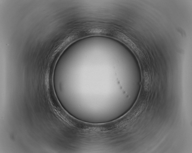 X0000115840482200911131534