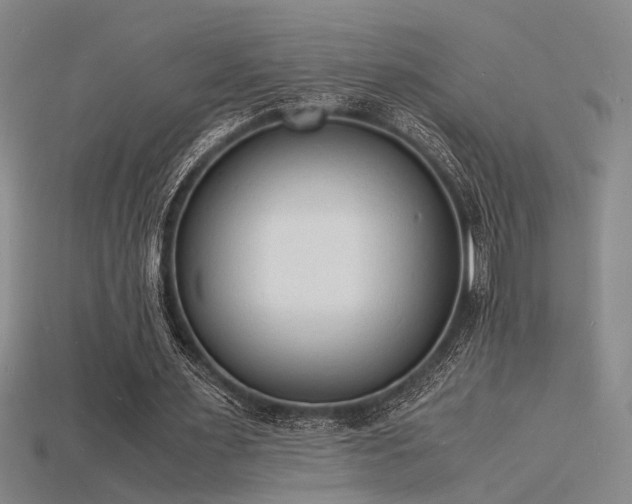 X0000115840483200911131534