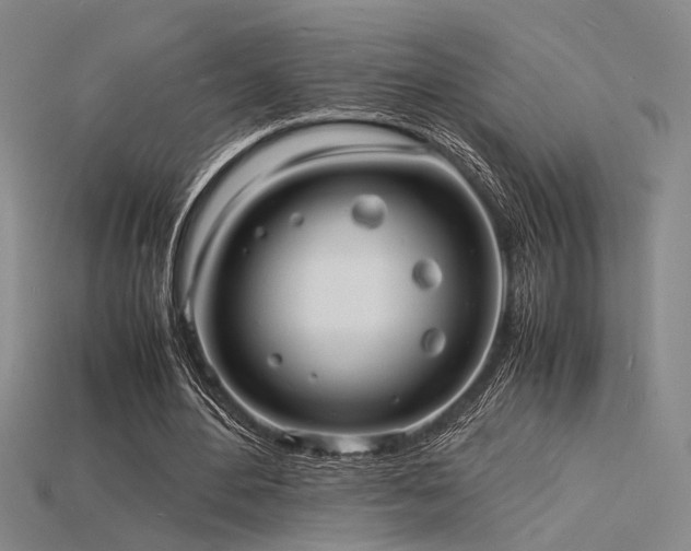 X0000115840484200911131534