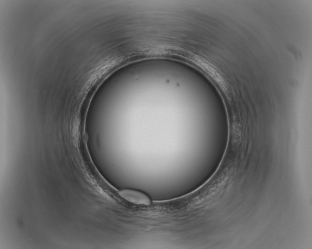 X0000115840485200911131534