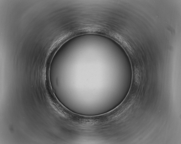 X0000115840486200911131534