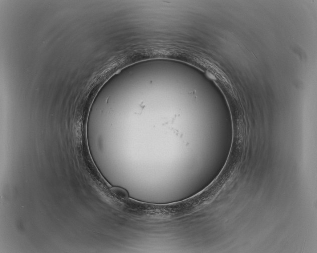 X0000115840489200911131534
