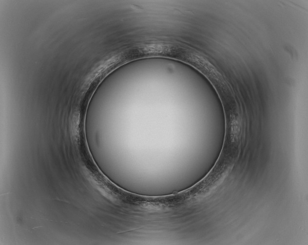 X0000115840490200911131534