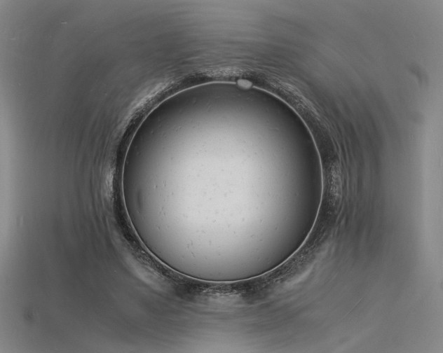 X0000115840491200911131534