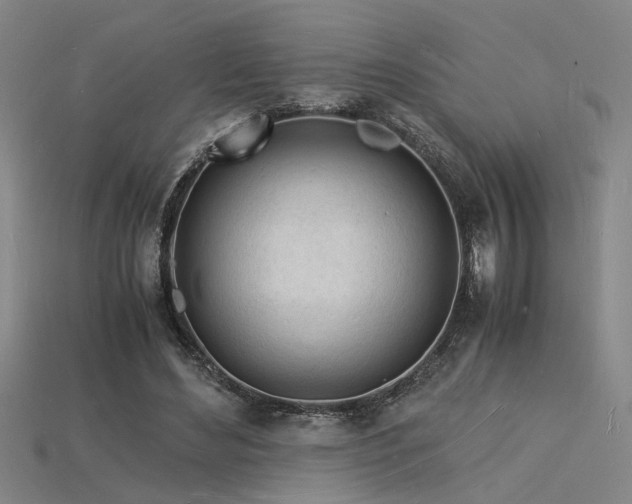 X0000115840492200911131534