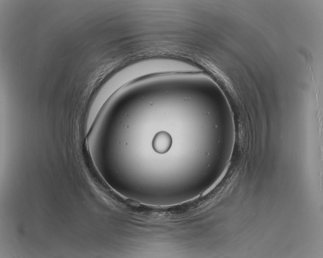 X0000115840493200911131534