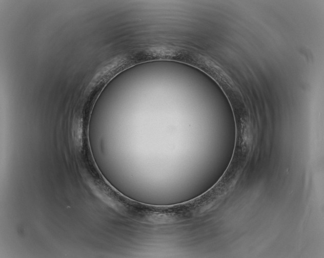 X0000115840494200911131534