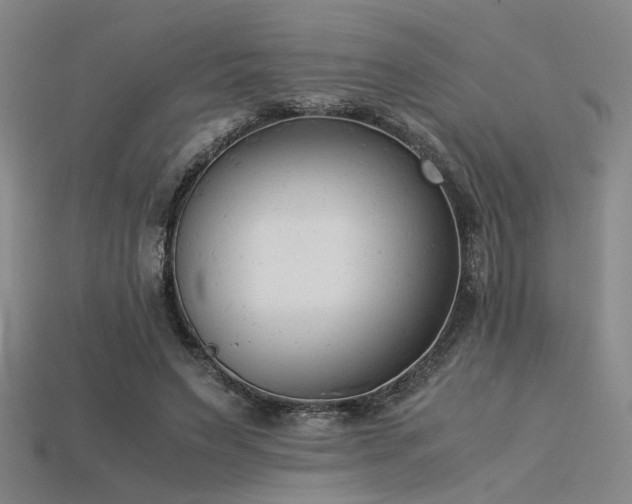 X0000115840495200911131534