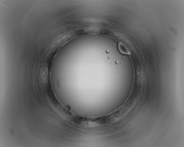 X0000115840498200911131534