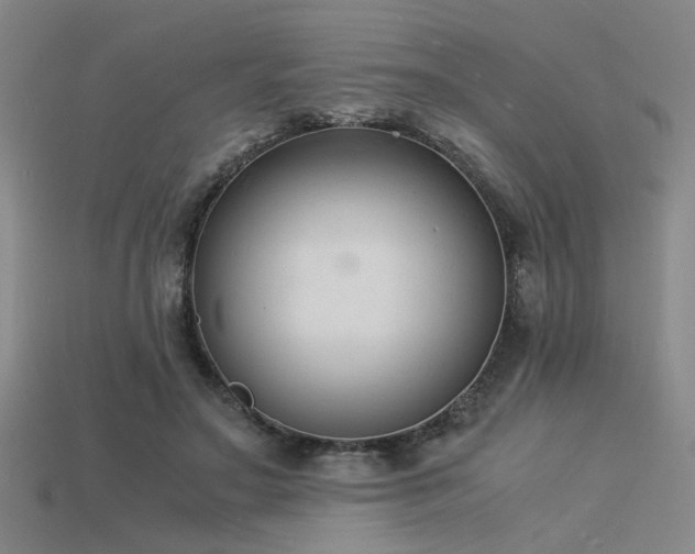 X0000115840499200911131534
