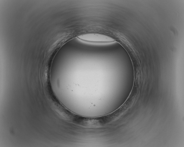 X0000115840501200911131534