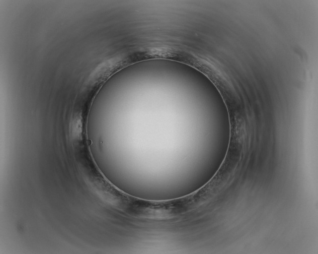 X0000115840502200911131534