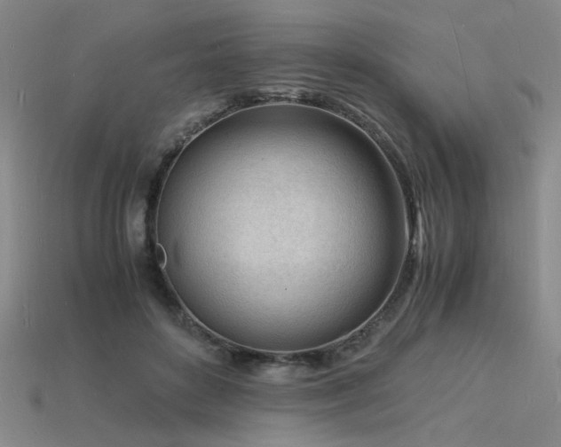 X0000115840504200911131534
