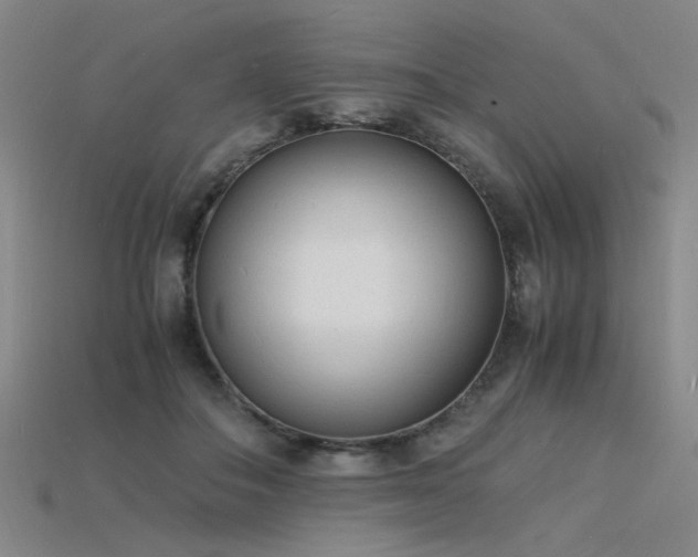 X0000115840506200911131534