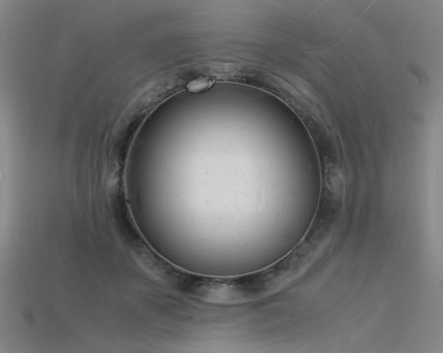 X0000115840507200911131534