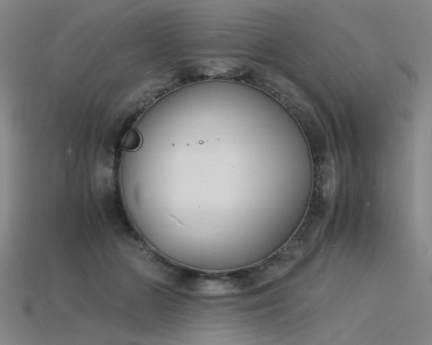 X0000115840510200911131534