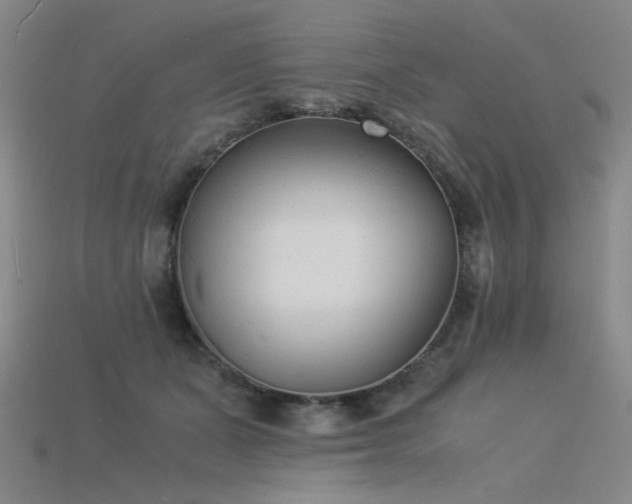 X0000115840511200911131533