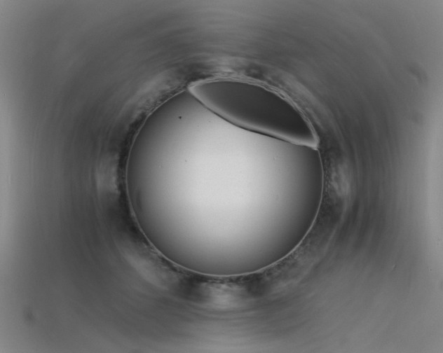 X0000115840512200911131533