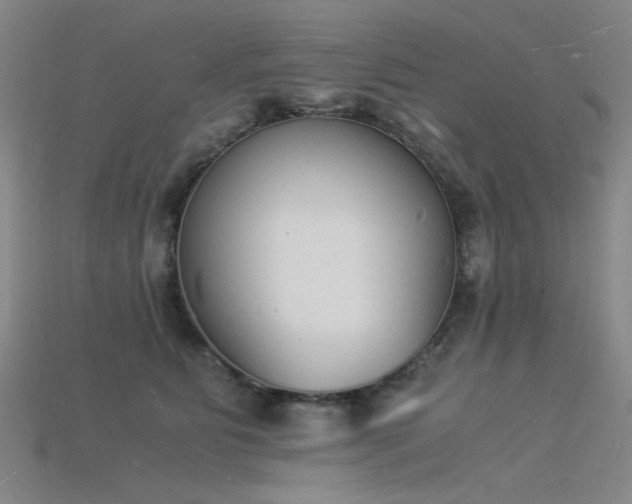 X0000115840515200911131533