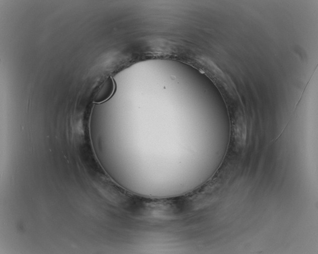 X0000115840516200911131533