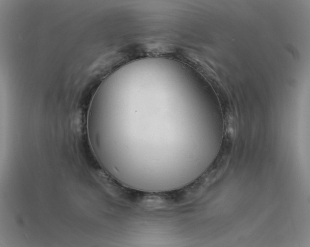X0000115840519200911131533