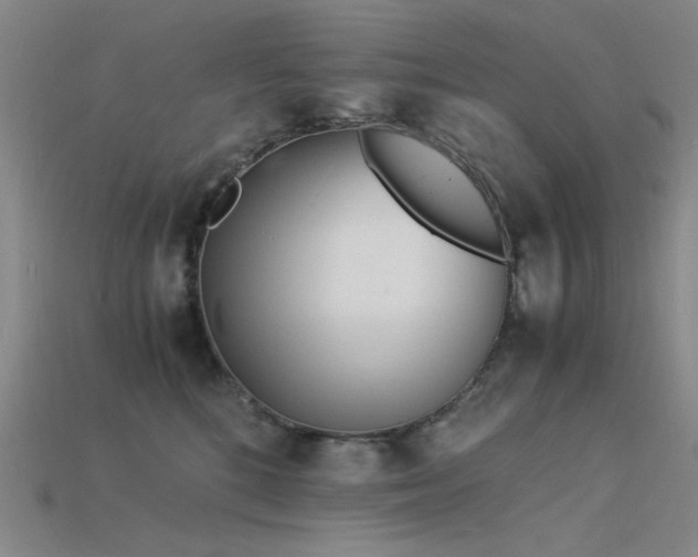 X0000115840520200911131533