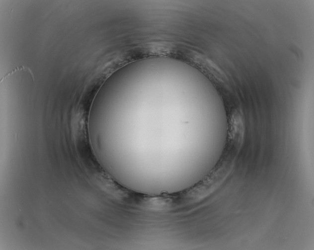 X0000115840522200911131533